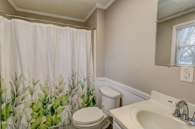 Building Photo - 64 Burton St