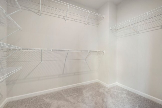 Building Photo - Welcome to this stunning 3-bed, 3-bath home located in the vibrant community of Wake Forest, NC.