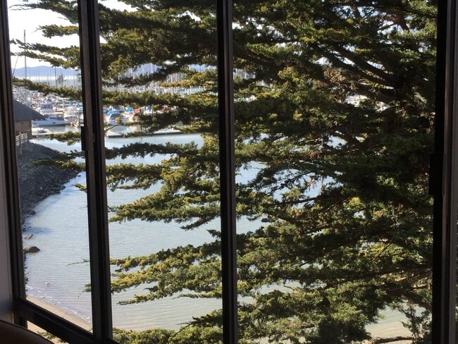 Building Photo - Designer Living in Waterfront Furnished Condo