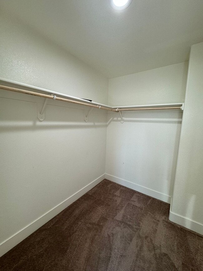 Building Photo - 5 Bedroom 3 Bath Home with Pool, pool and ...