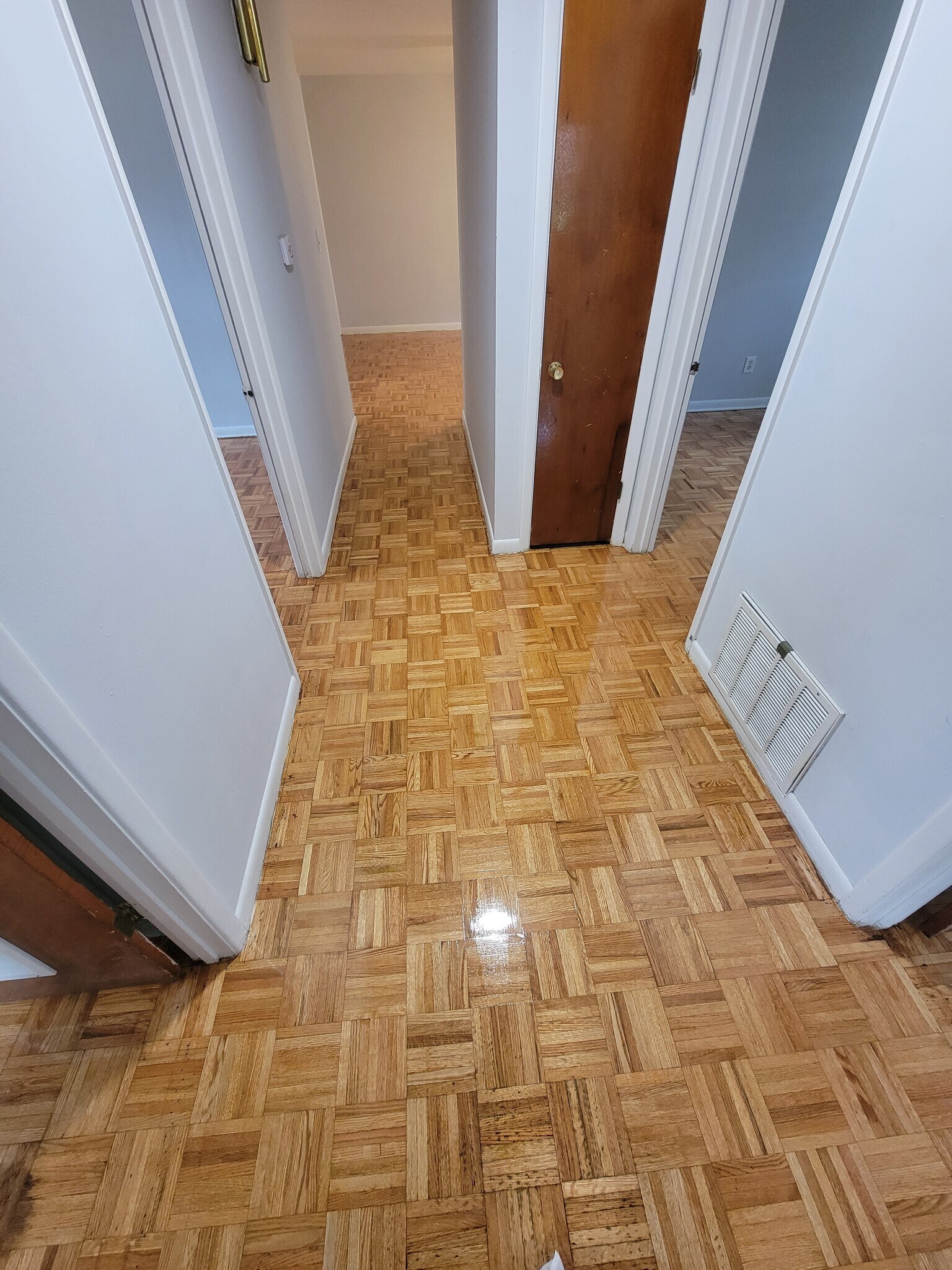 Hallway to bedrooms - 722 Revere Ave