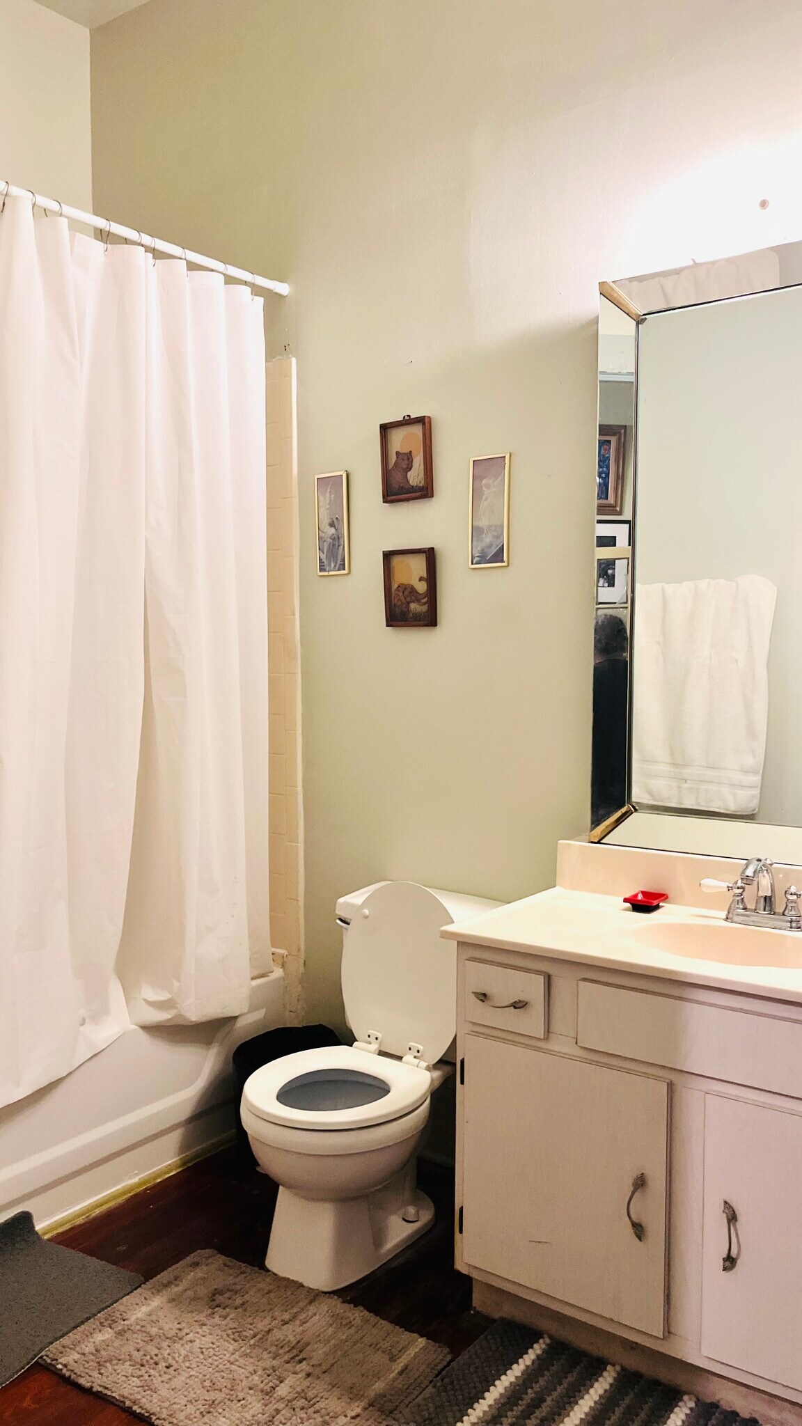 1st floor bathroom - 1808 Esplanade Ave