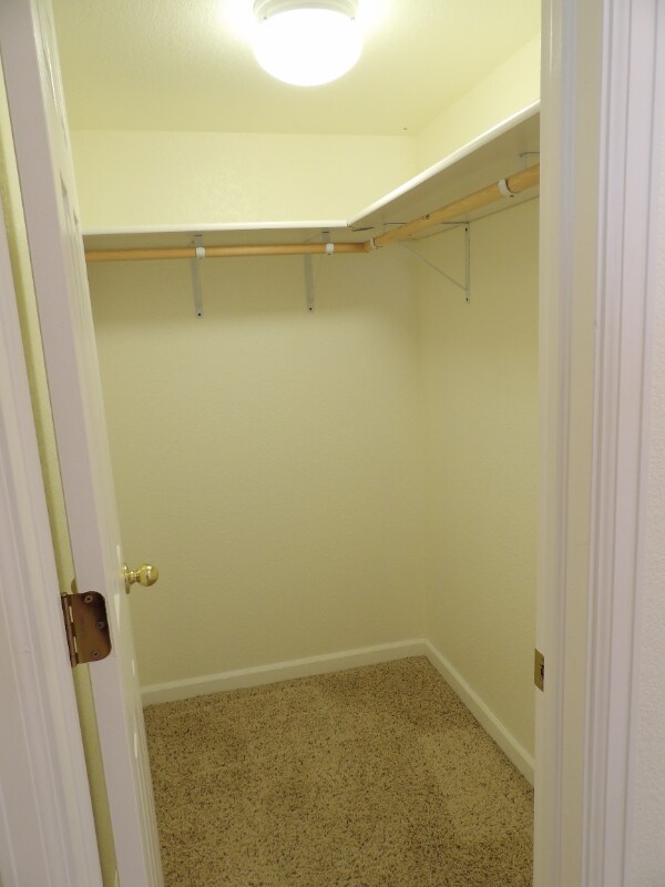 Building Photo - 4919 Turning Leaf Way