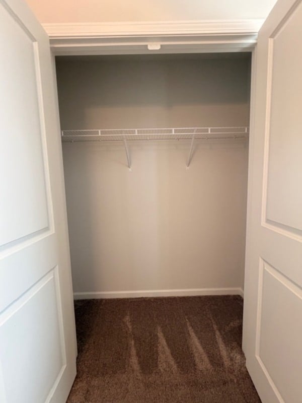 Building Photo - 501 Cricket Chirp Ln