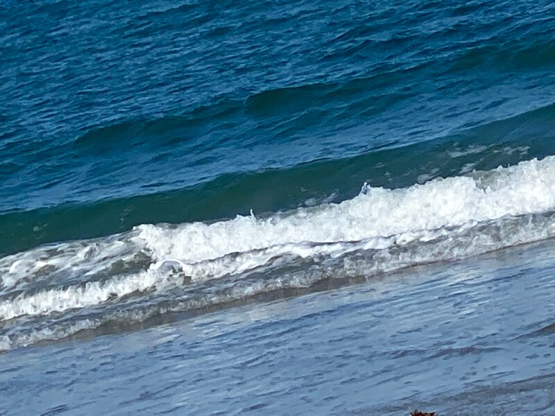 Building Photo - 1456 NE Ocean Blvd