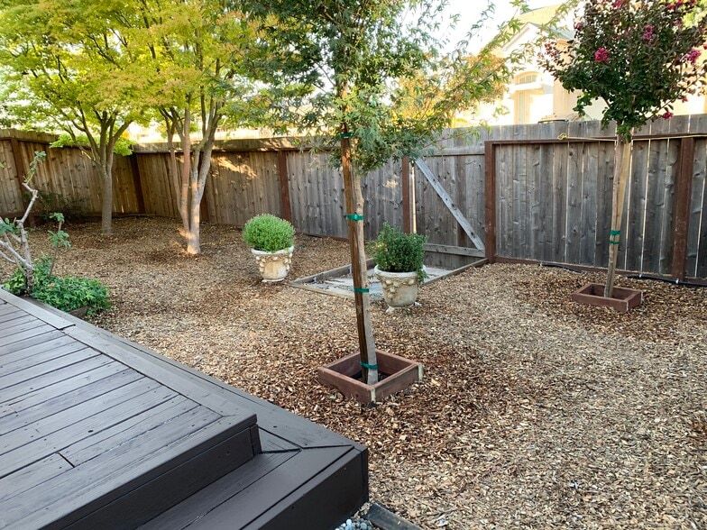 large back yard - 2306 Francisco Ave