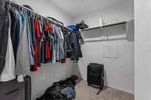 Building Photo - 5231 Mossdale Blf Ln