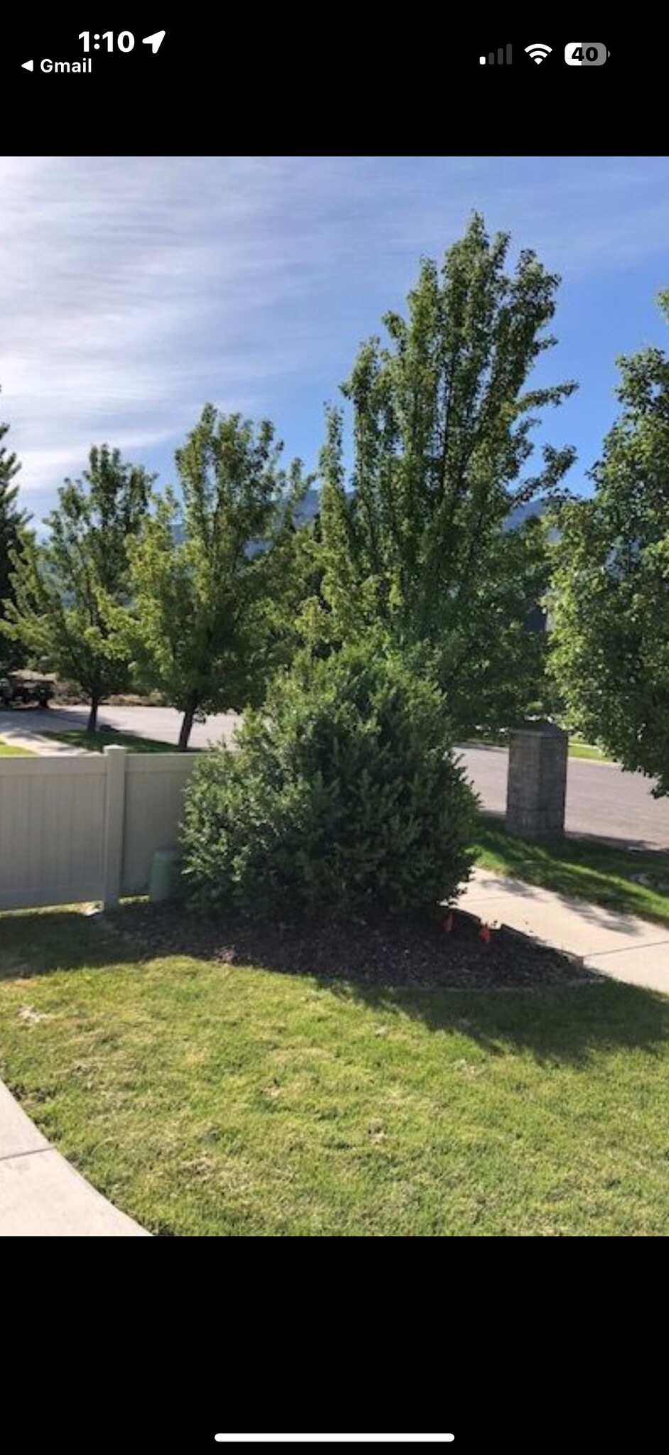 Building Photo - 1452 W Meadow Ln