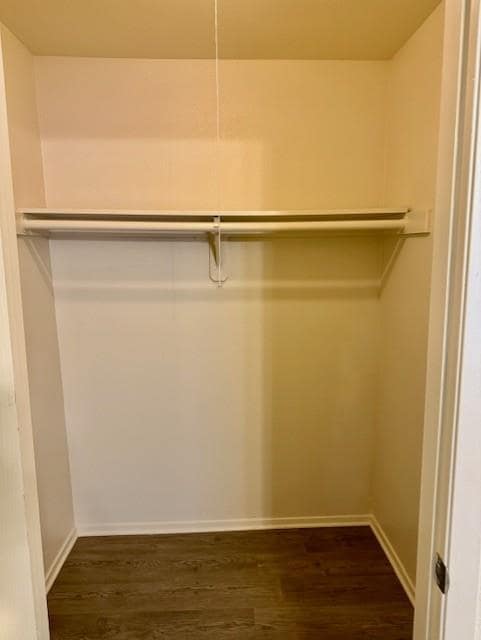 Building Photo - 2807 Parker Ln