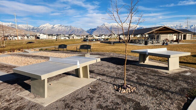 Building Photo - 2773 Tower Ml Wy