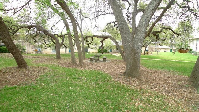 Building Photo - 5320 Balcones Dr