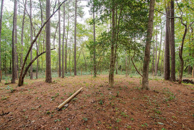 Building Photo - 174 Live Oak Dr