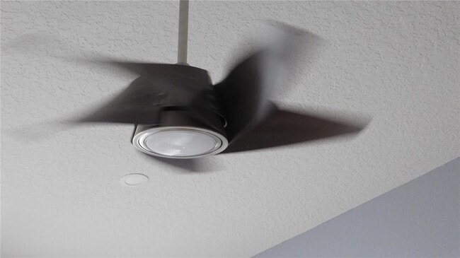 Building Photo - 1508 Florentino Ln