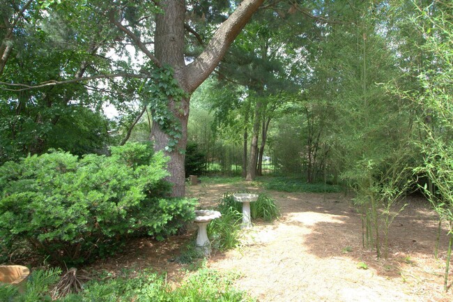 Building Photo - 4-Bedroom 2-Bath Home near Downtown Champa...
