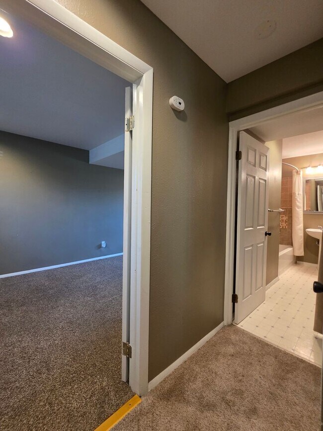 Building Photo - 3 Bedroom 2 Bathroom House With Huge Backy...