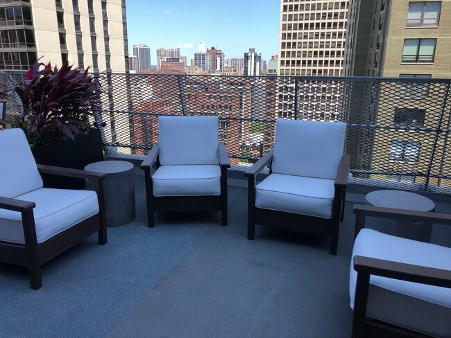Shared roof deck - 1000 N Lake Shore Dr