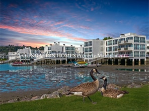 Building Photo - Penthouse Living on the Water, Mill Valley's Best-Kept Secret - Pool- Tennis - FOUNDATION