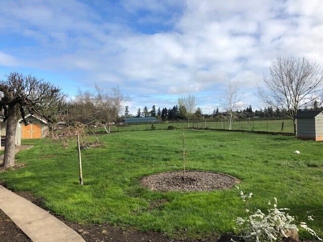 Building Photo - Newly Renovated 3 bed, 1.5 bath on Acreage...
