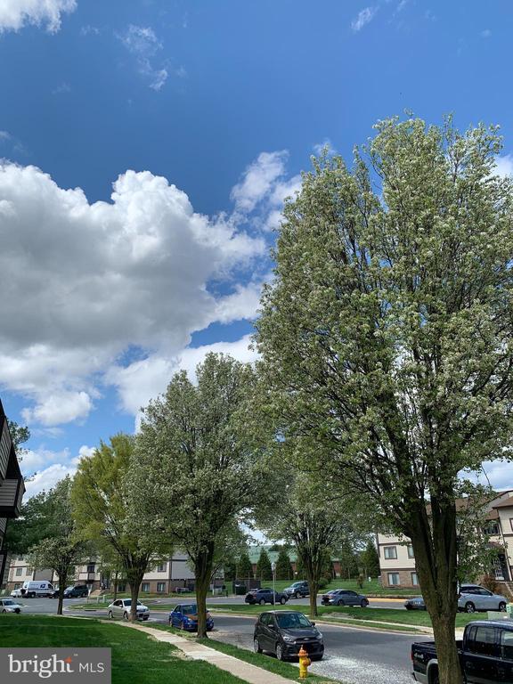 Building Photo - 751 Heather Ridge Dr