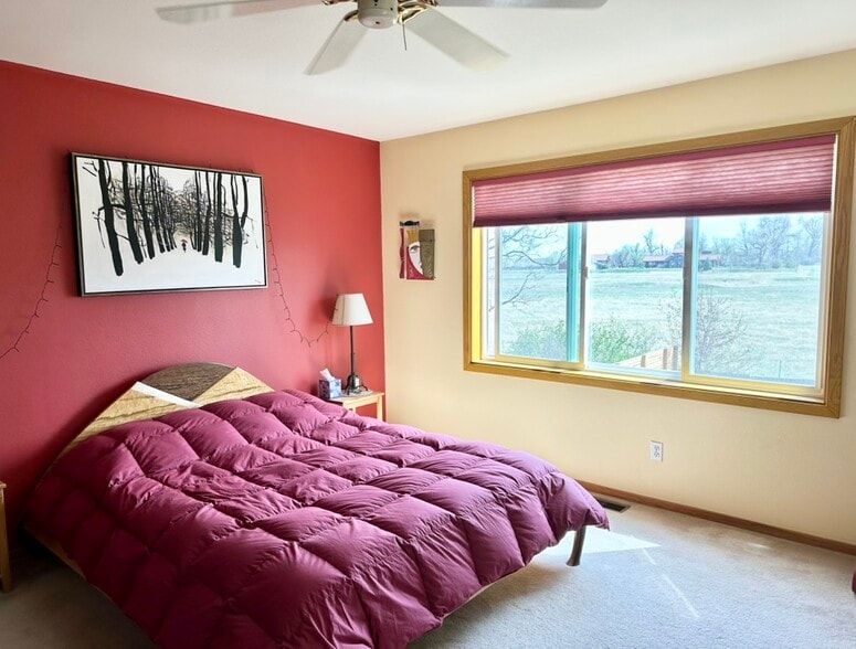 Master bedroom - 6048 Chelsea Manor Ct