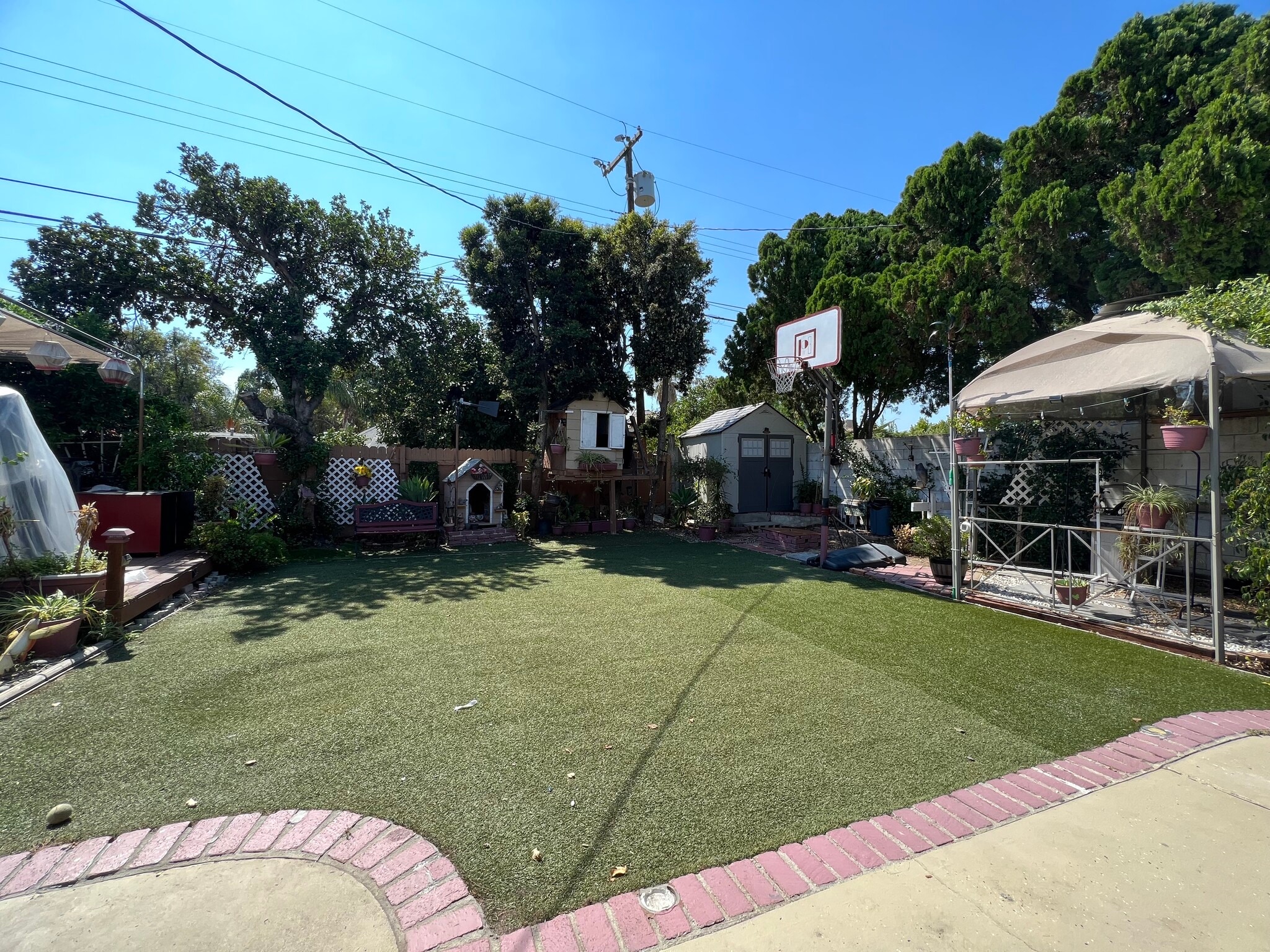 Backyard - 8731 Colbath Ave