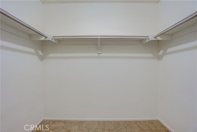 Building Photo - 1603 Stonewood Ct