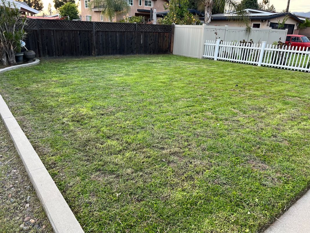 Building Photo - 1039 Barston Ave