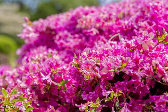 Building Photo - 13 Driftwood Ln