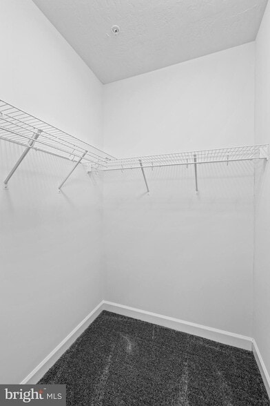 Building Photo - 2950 Ashwood Ln