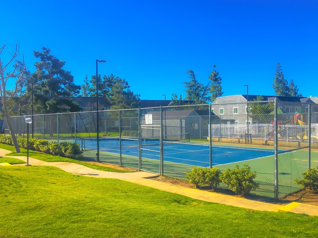 Tennis Court - Mountain View Apartments