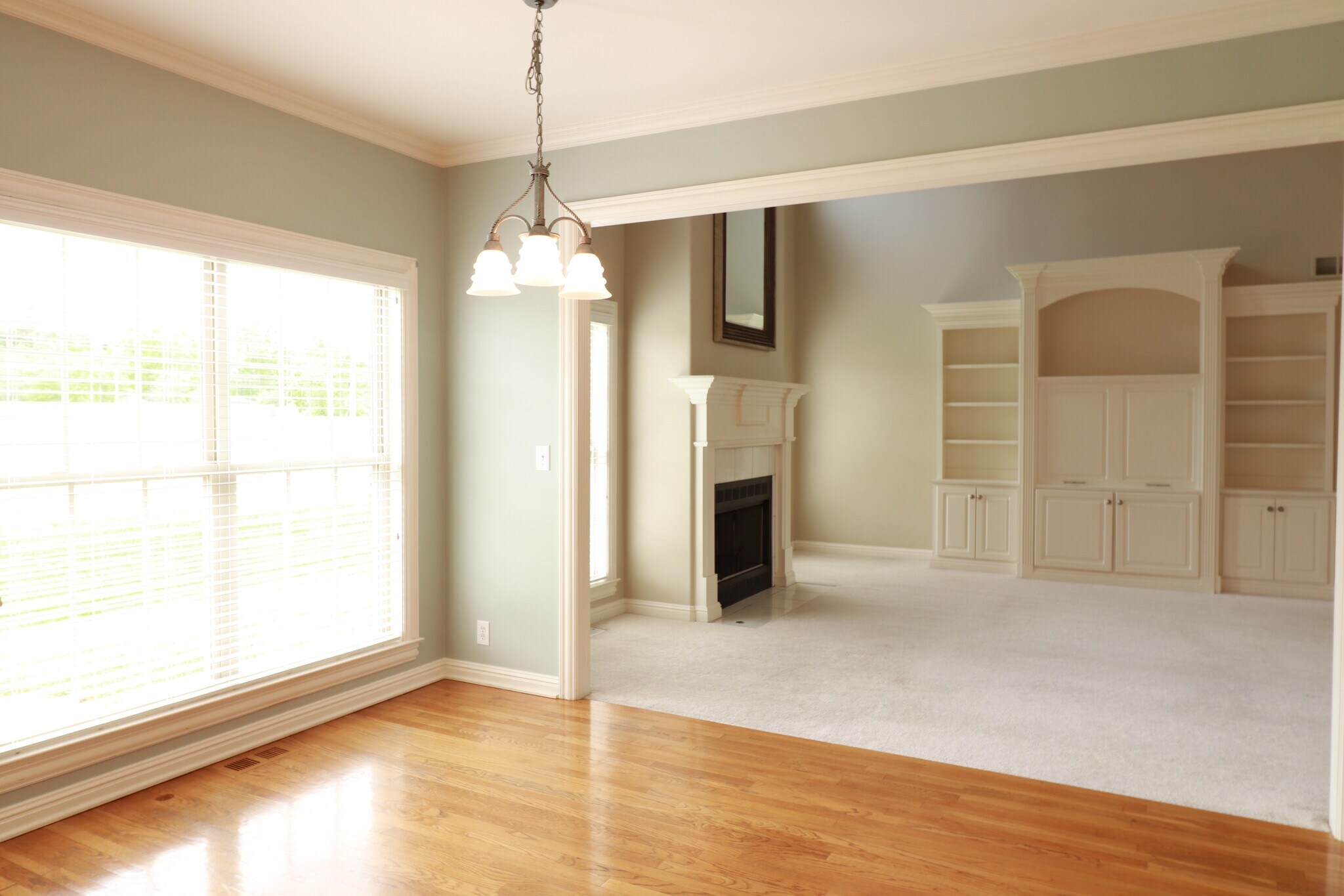 View from Kitchen - 5304 Wolfpen Woods Dr.