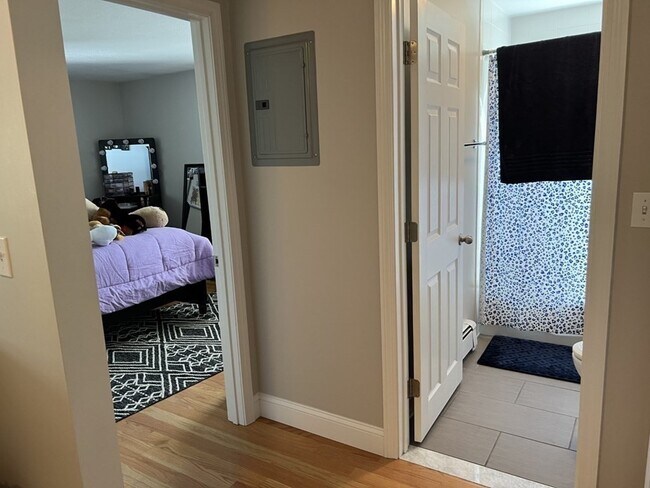 Building Photo - 559 Willard St