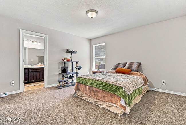 Building Photo - 14552 Mescal Bean Ct
