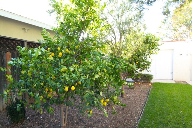 Building Photo - 8806 Haskell Ave