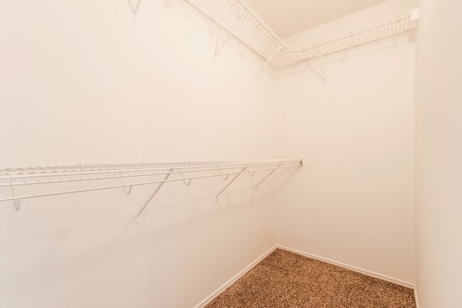 Building Photo - 23611 Twisting Falls Dr