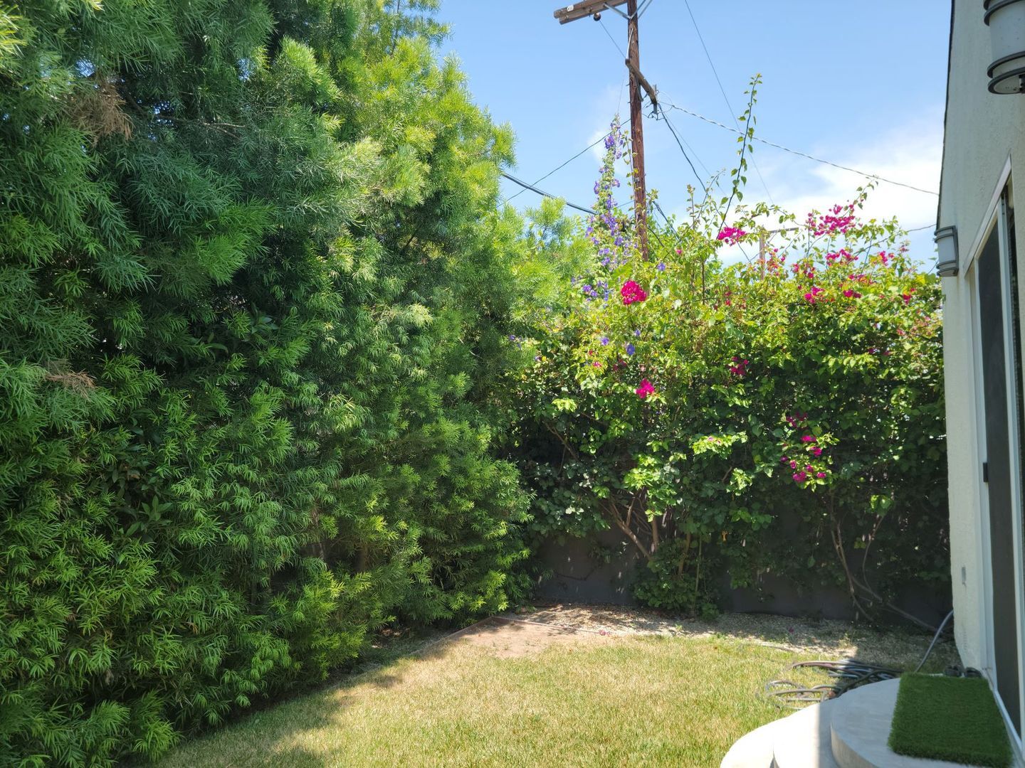 Building Photo - Stunning Remodeled 4 Bedroom House with Large Front Yard, Garage, Pool & Spa in Studio City!