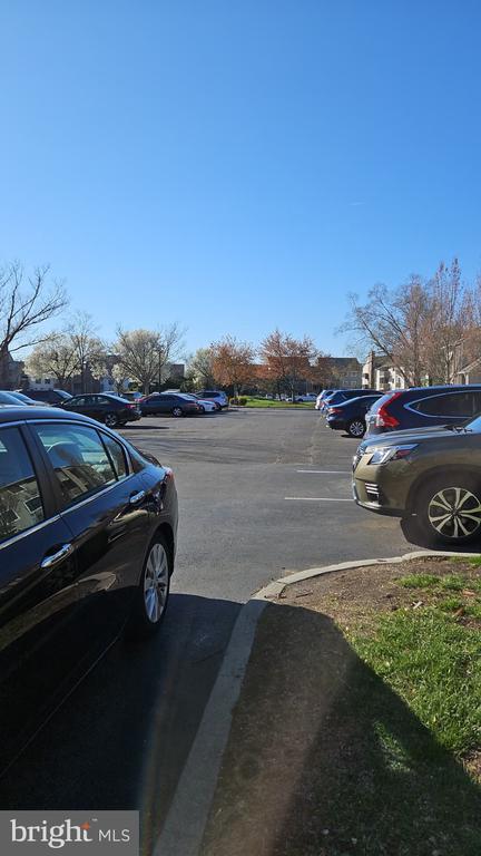 Building Photo - 909 Ravens Crest Dr