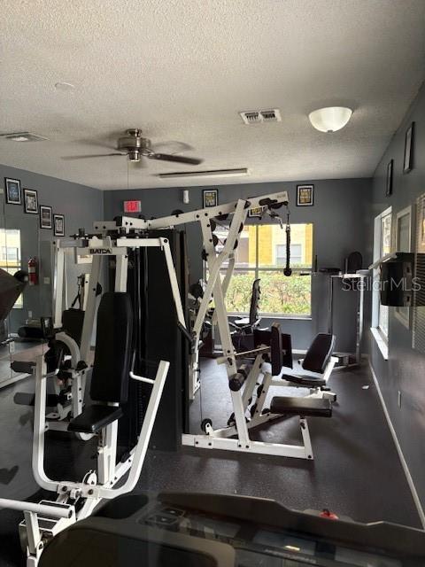 Building Photo - 5287 Images Cir