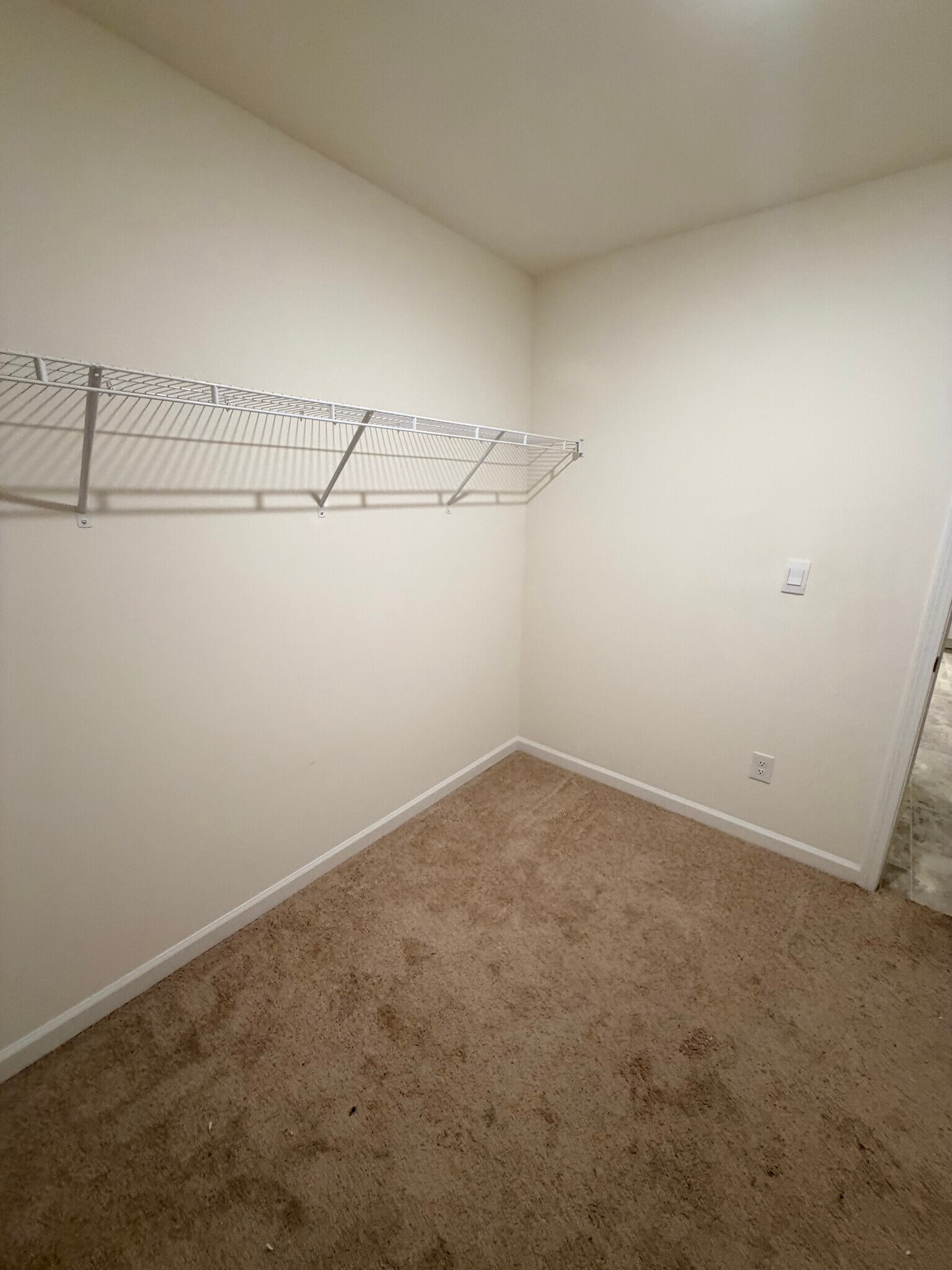 Primary Walk-in closet - 168 Hampton Cir