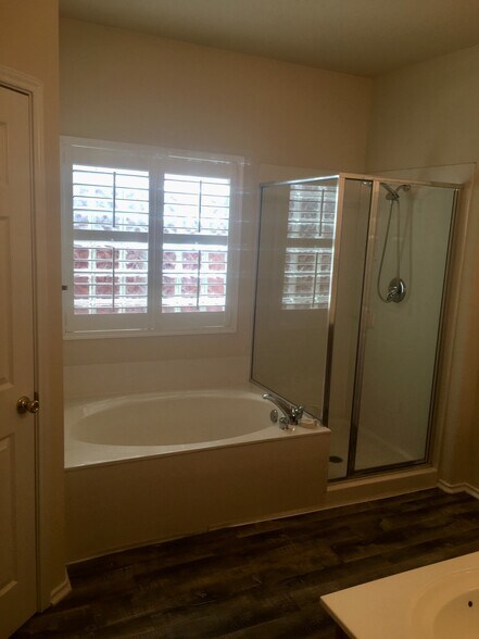 Master Bath with Tub and Shower - 24307 Alamosa Falls