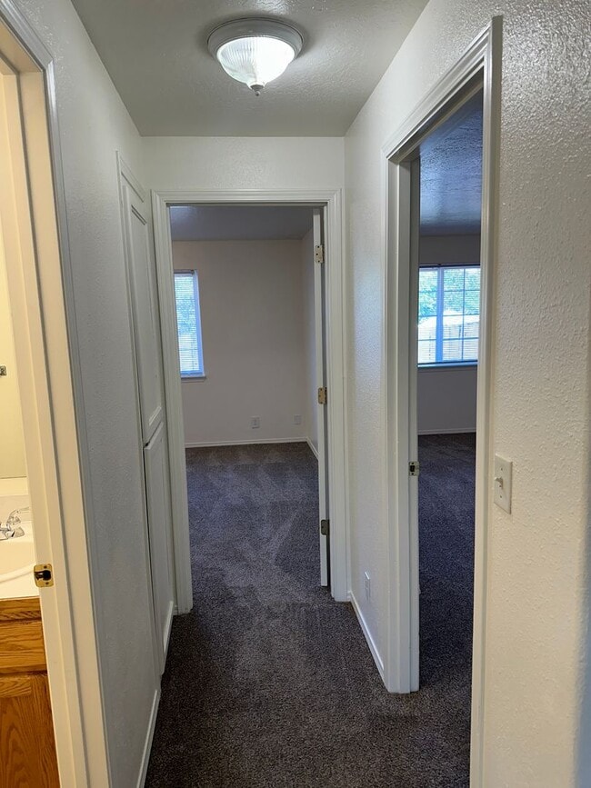 Building Photo - Updated 2 bedroom 2 bath triplex in Spring...