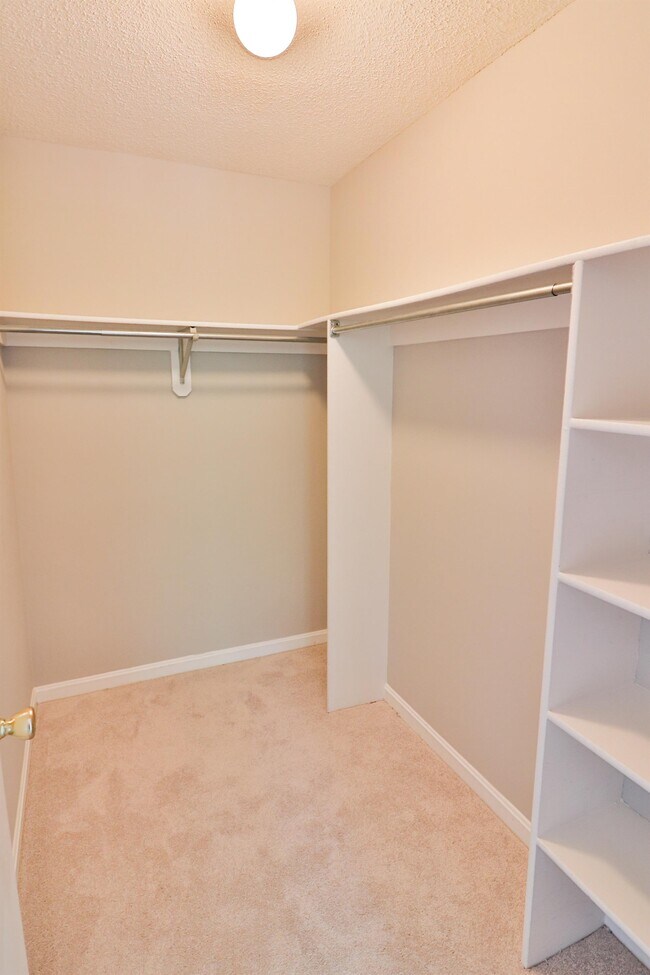 Building Photo - 12902 Churchill Ridge Cir