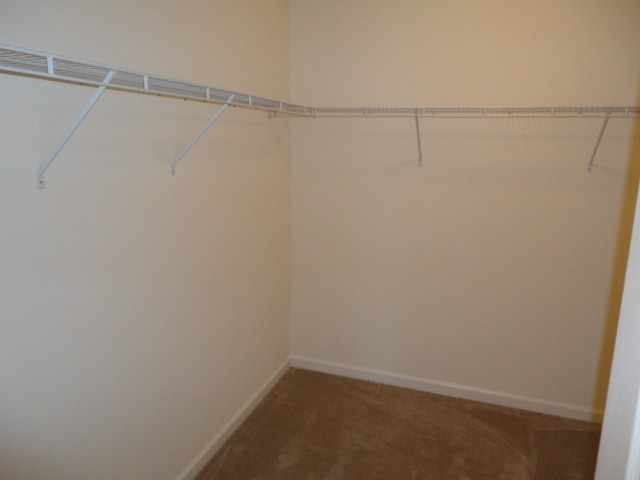 Building Photo - 5718 Hiddenlake Drive