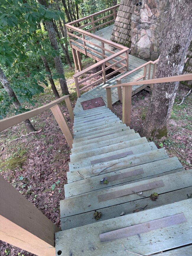 Building Photo - 53 Bold Springs Ln