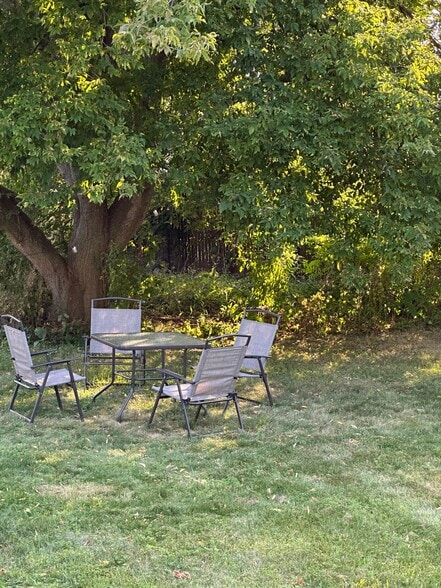 Back yard - 91 Faith St