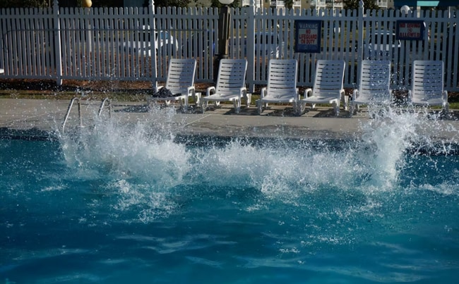 Building Photo - Waterfront Home 50' Dock Protected Inlet- 3BR/2BA 90 Day Lease