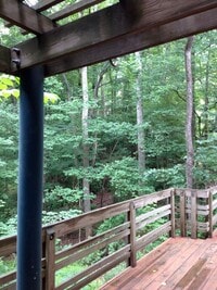 Building Photo - 1 Bed Apartment super close to UNC campus!  Quiet neighborhood & feels like living in a Tree House!