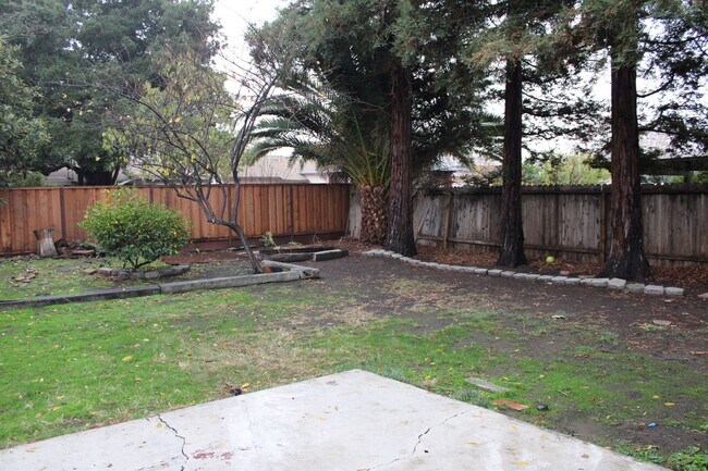 Building Photo - Charming 3 Bed 1 Bath House on tree lined ...