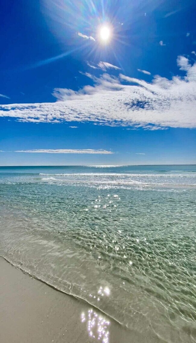 Building Photo - 500 Gulf Shore Dr