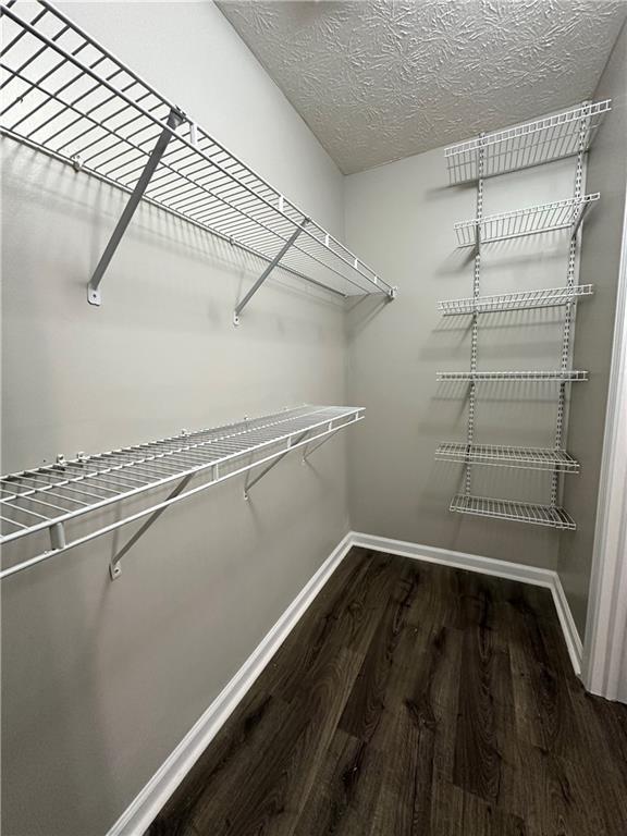 Building Photo - 1080 Hunters Crossing Ln
